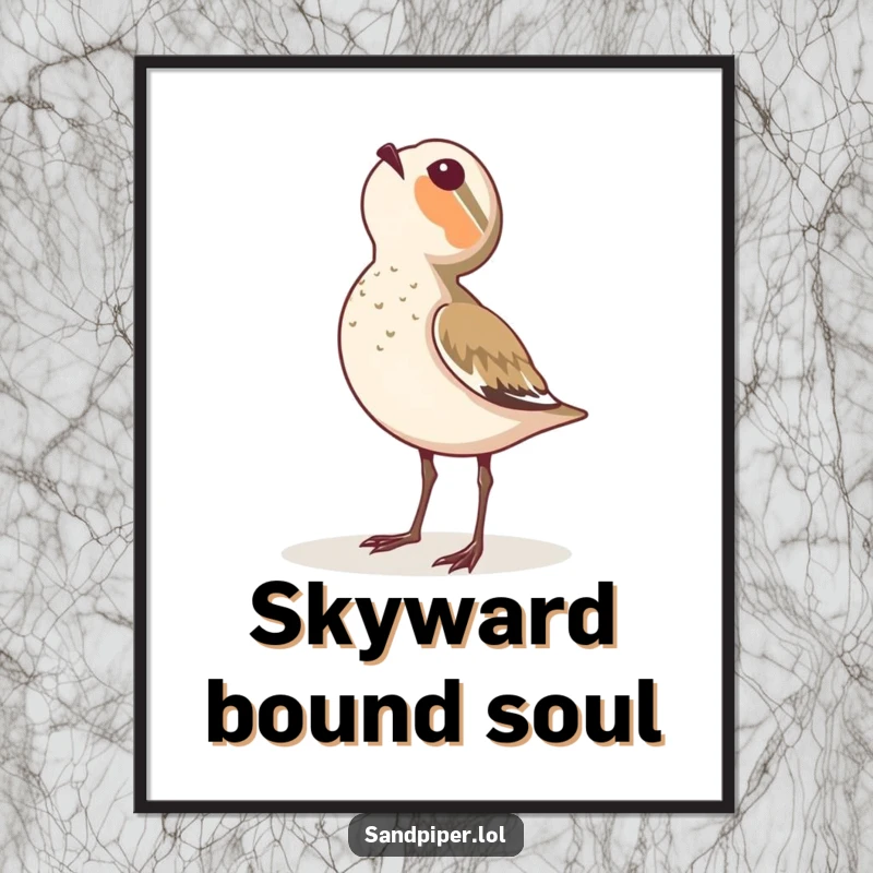 Funny digital art print of a sandpiper looking up at the sky with wonder.