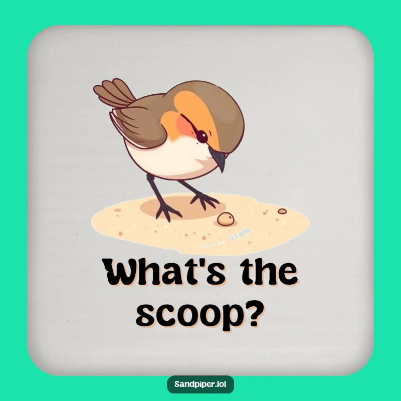 Funny Bird Pecking Coaster Set - Protect Surfaces with Curiosity