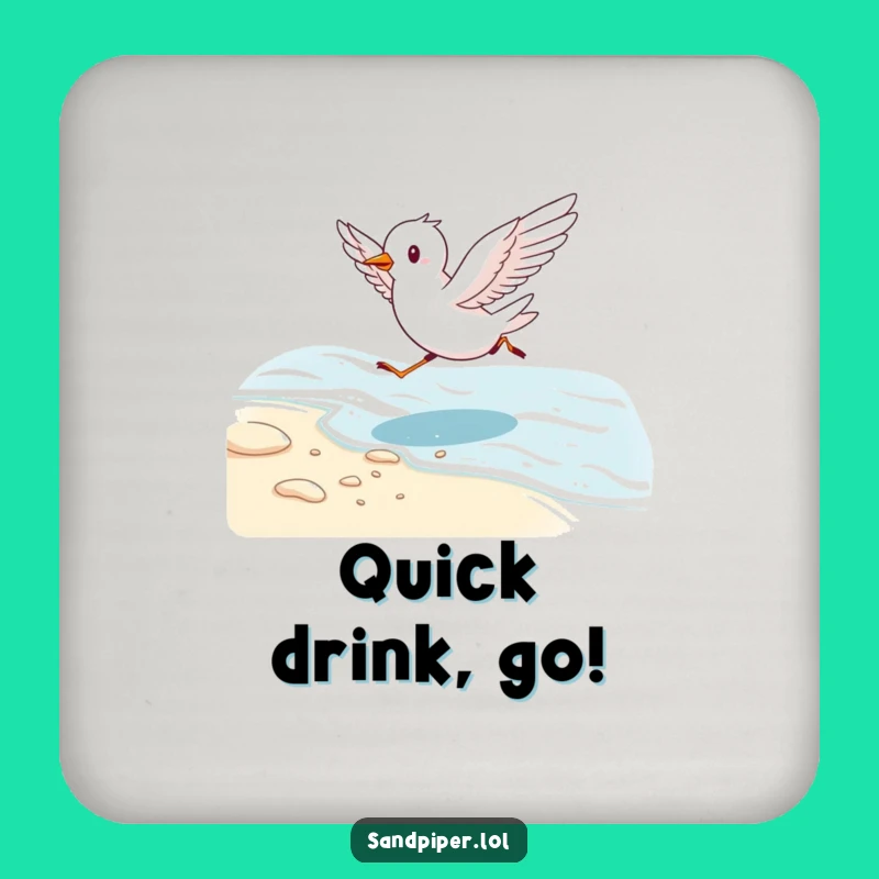 Funny Bird Running Coaster Set - Protect Surfaces with Beach Fun