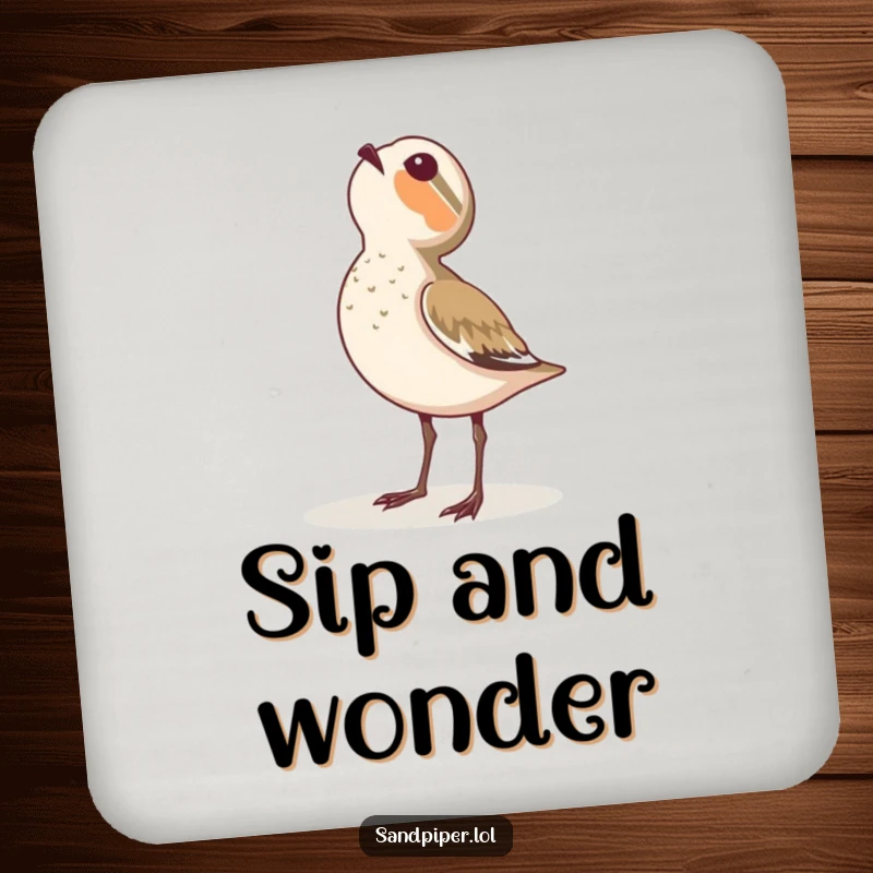Funny coaster set depicting a sandpiper looking up at the sky with pure wonder.