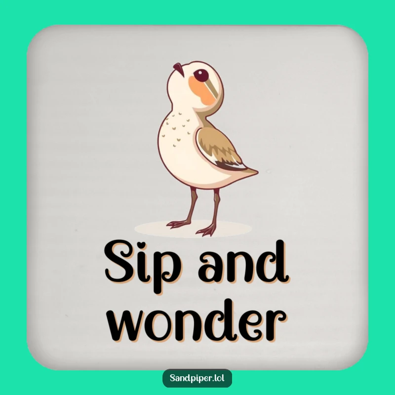 Funny Sandpiper Coasters - Awestruck Sky Protection for Tables