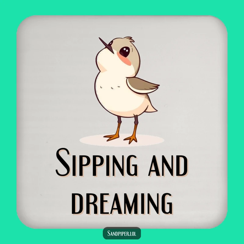 Funny Sandpiper Wonder Coaster: Sky Gazing Drink Protection Gift