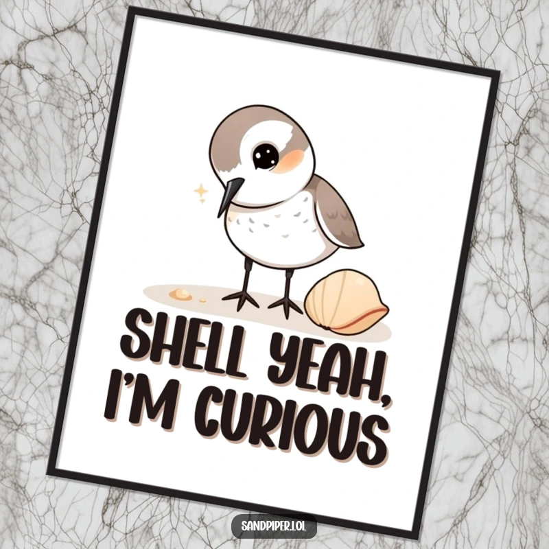 Funny Sandpiper Poster: Artistic depiction of a sandpiper curiously tilting its head to investigate a shell on the shore.