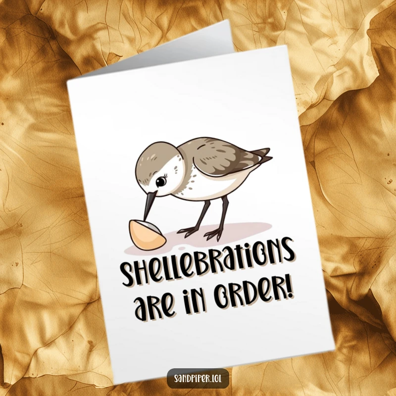 Funny Free Printable Congrats Card: A sandpiper examines a small shell with great curiosity and surprise. Unique occasion card.